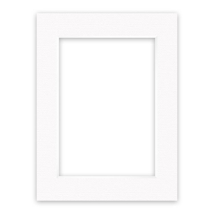 nielsen Conservation